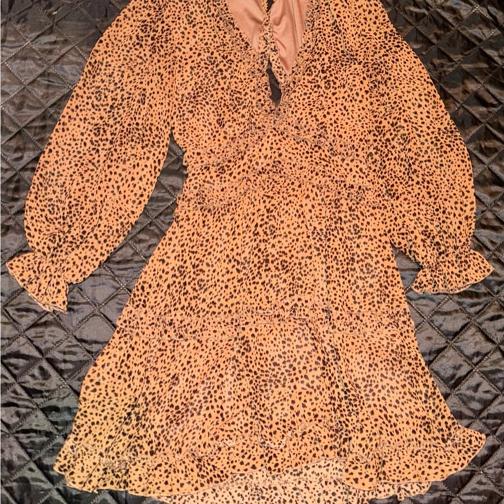 Leopard Print Women's Dress